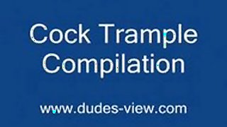 Cock Trample Compilation
